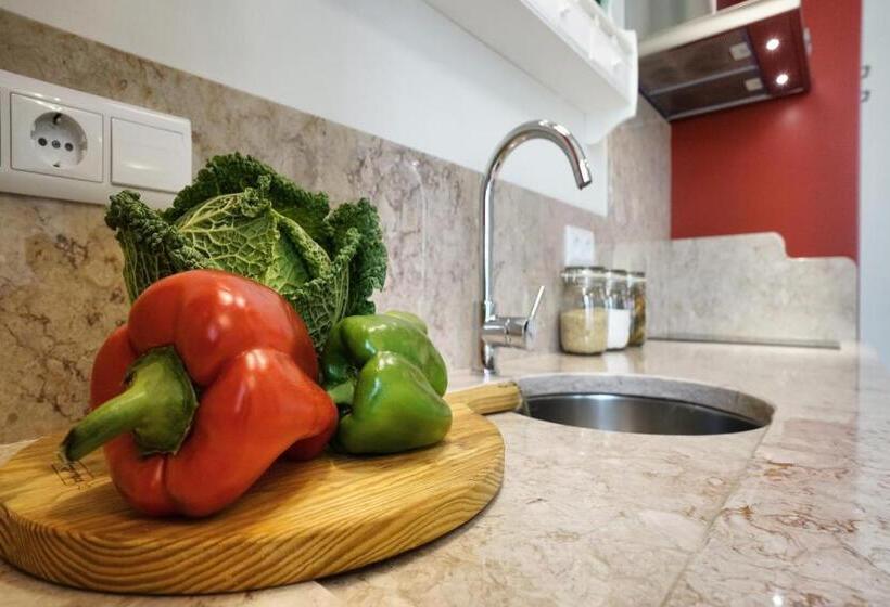 آپارتمان 1 خوابه با چشمانداز, Casas De São Bento