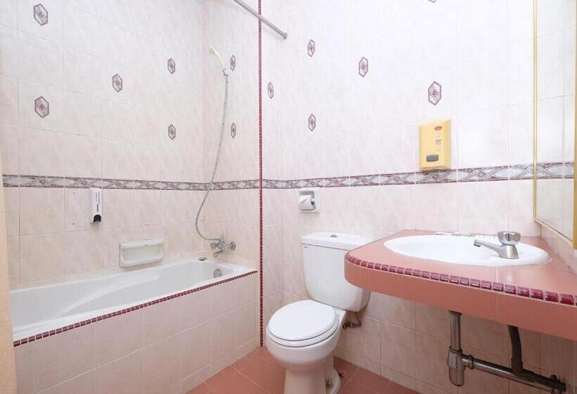 חדר סטנדרט נוף לגינה, Green Park