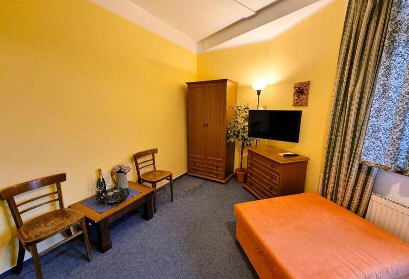 غرفة قياسية, Penzion Rotunda