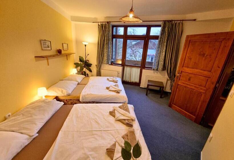 شقة غرفة واحدة, Penzion Rotunda