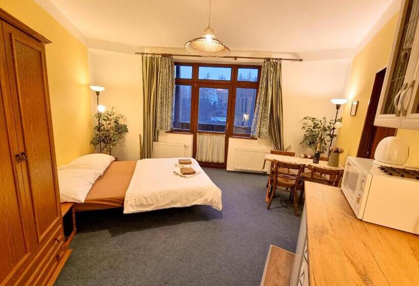 شقة غرفة واحدة, Penzion Rotunda