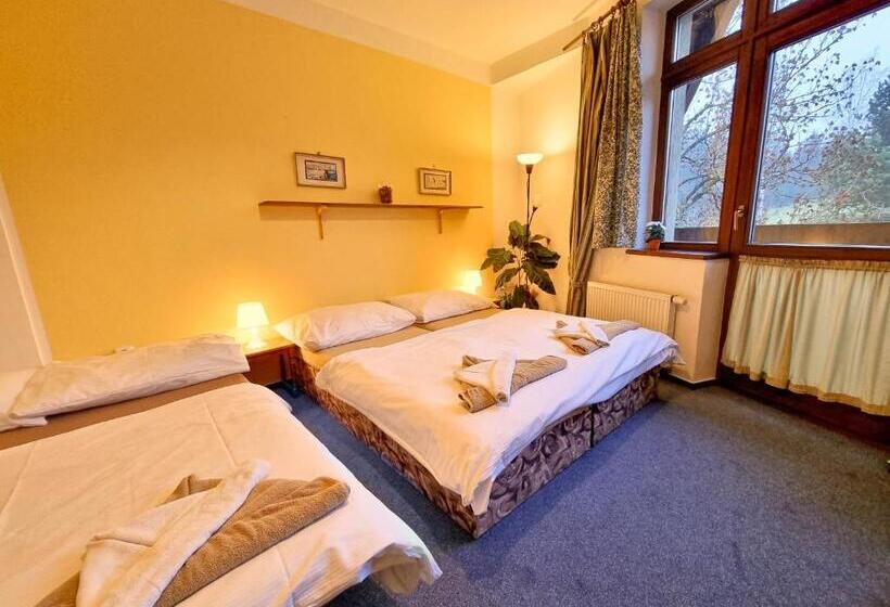 شقة غرفة واحدة, Penzion Rotunda