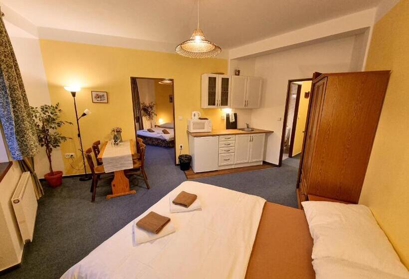 شقة غرفة واحدة, Penzion Rotunda