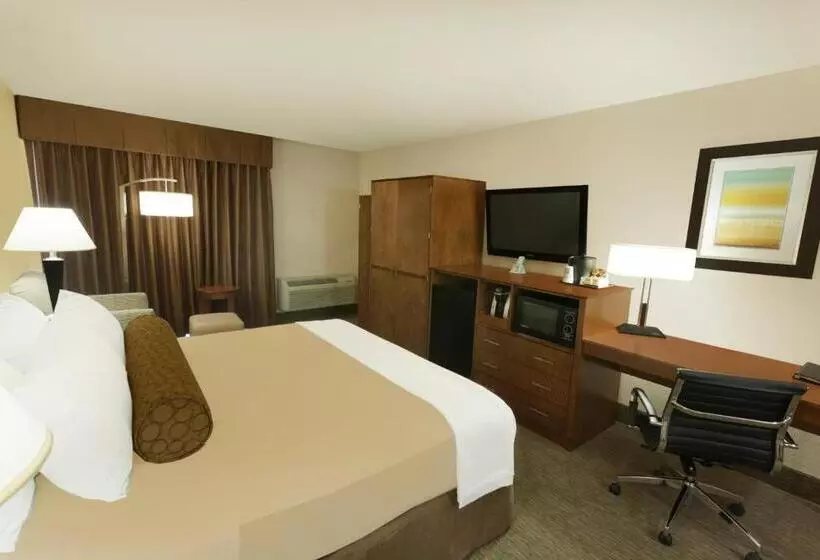 身障者適用キングサイズベッドルーム, Best Western Plus Atrium Inn