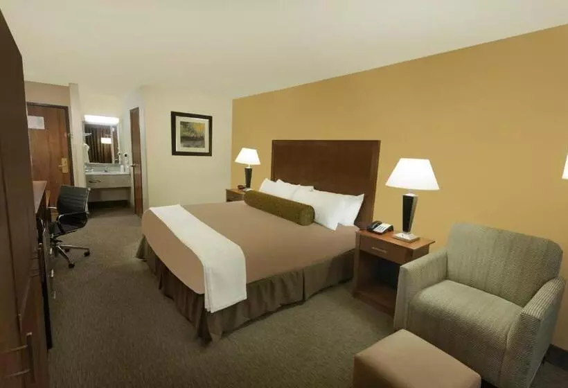 キングサイズベッドのスタンダードルーム, Best Western Plus Atrium Inn
