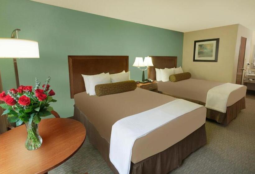 スタンダードルーム, Best Western Plus Atrium Inn