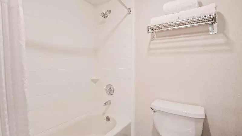 اتاق استاندارد با تخت بزرگ, Best Western Plus Twin Falls