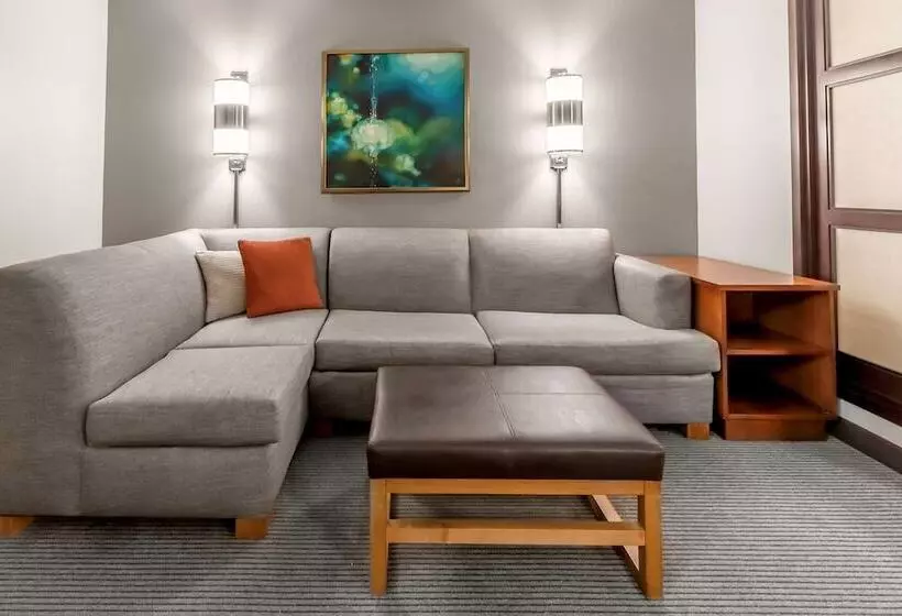 اتاق استاندارد با 2 تخت دوبل, Hyatt Place Charlotte Airport Billy Graham Parkway