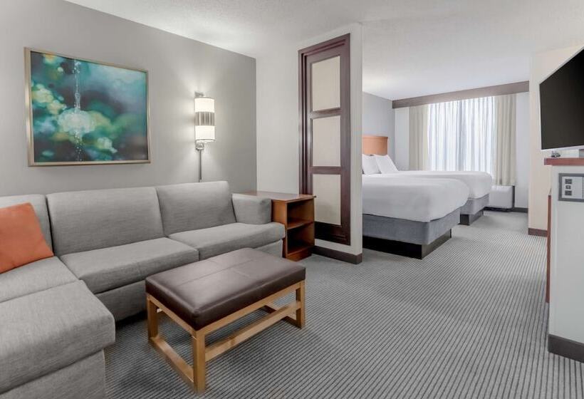 Номер Стандарт 2 Двуспальные Кровати, Hyatt Place Charlotte Airport Billy Graham Parkway