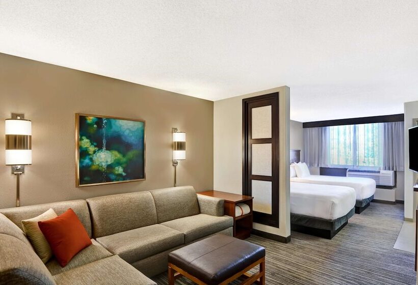 İki Çift Kişilik Yataklı Standart Oda, Hyatt Place Memphis Wolfchase