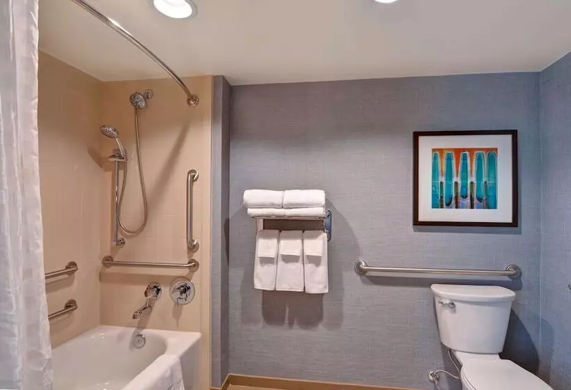 身障者適用ダブルベッド付きスタンダードルーム, Hyatt Place Memphis Wolfchase