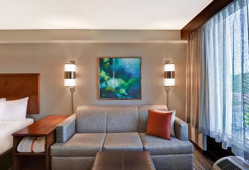 身障者適用ダブルベッド付きスタンダードルーム, Hyatt Place Memphis Wolfchase