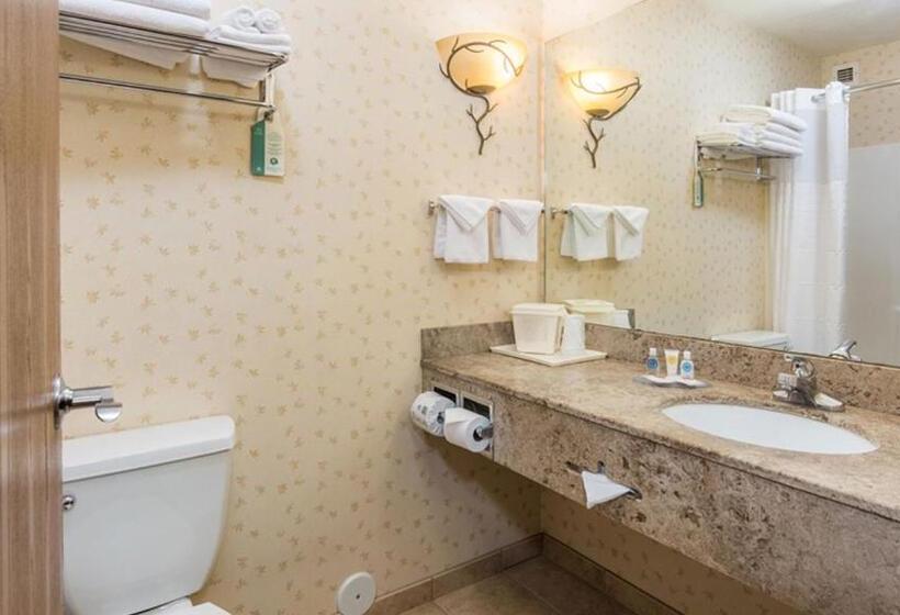 Люкс Кровать Кинг, Magnuson Grand Pikes Peak