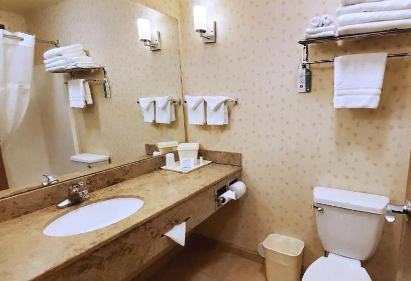 Люкс Вид на Горы, Magnuson Grand Pikes Peak