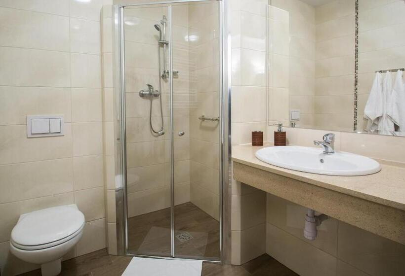 带阳台的豪华间, Nowy Zdrój Centrum Zdrowia I Wypoczynku