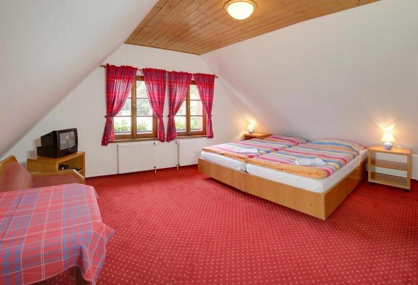 غرفة قياسية, Pension U Háčků