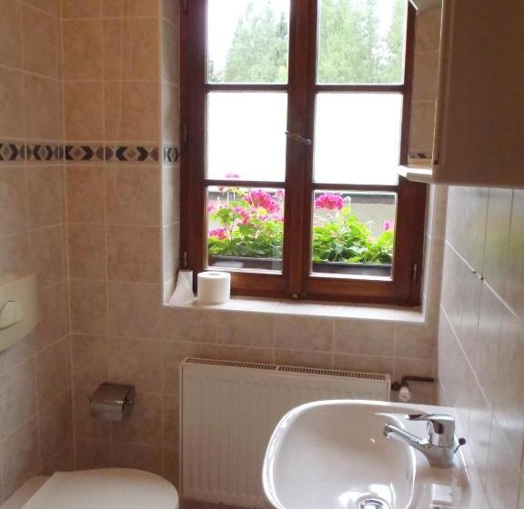 غرفة قياسية, Pension U Háčků