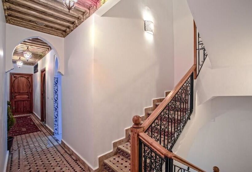 تختخواب در اتاق مشترک, Hostel Amour D Auberge