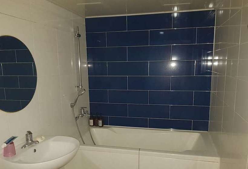 스탠다드 룸, Cube