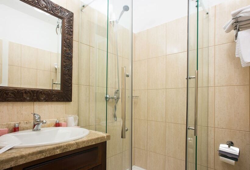 Номер Стандарт, Vila Economat