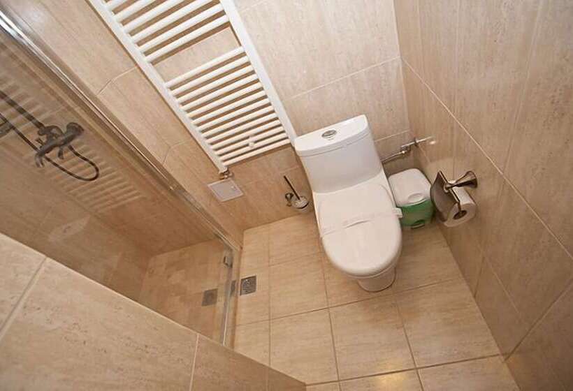 Номер Superior, Vila Economat