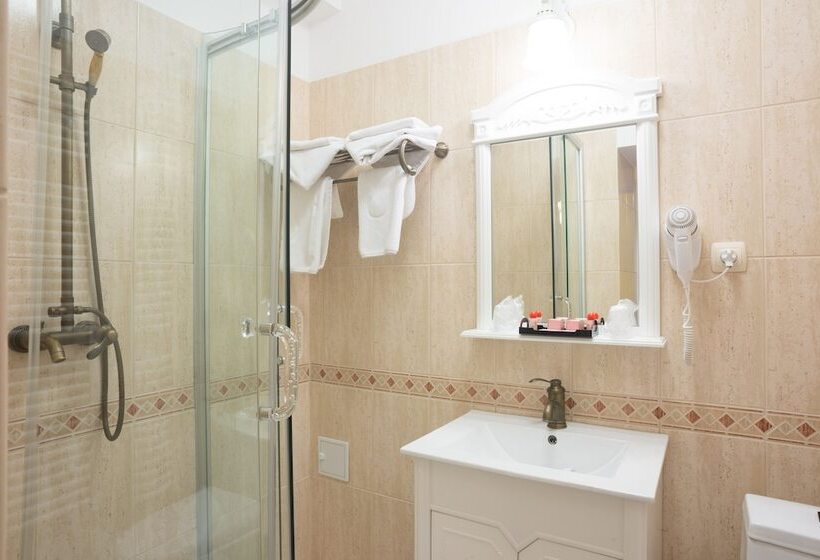 Номер Superior, Vila Economat