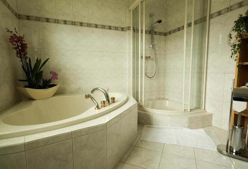 חדר סטנדרט עם מרפסת, Pension Franzbäcker