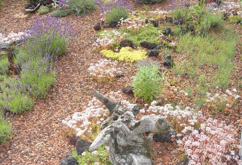 חדר סטנדרט עם מרפסת, Pension Franzbäcker