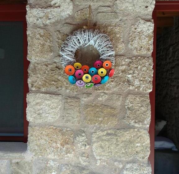 اتاق استاندارد, Rodi