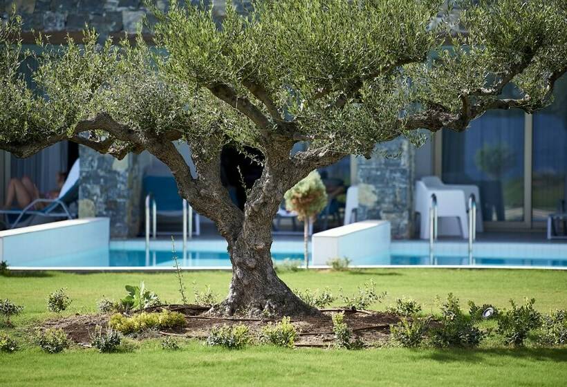 غرفة ديلوكس, Kakkos Beach Hotel   Adults Only