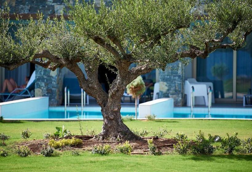 اتاق لوکس, Kakkos Beach Hotel   Adults Only