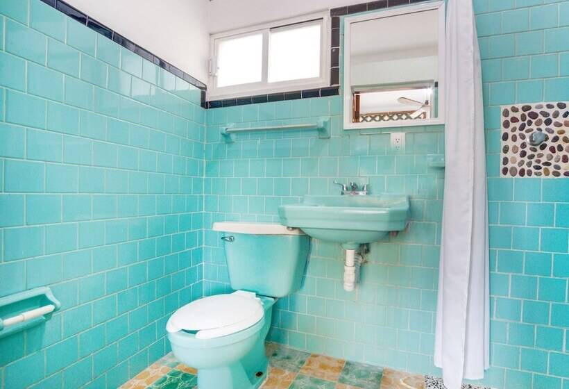 Quarto Triplo Estandar, Adelita