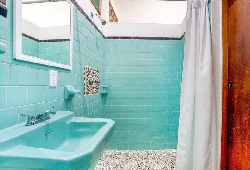 اتاق استاندارد سه نفره, Adelita