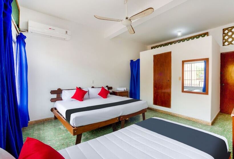 اتاق استاندارد سه نفره, Adelita