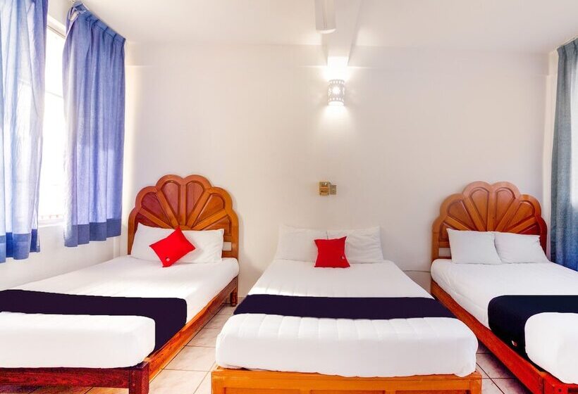 اتاق استاندارد چهار تخته, Adelita