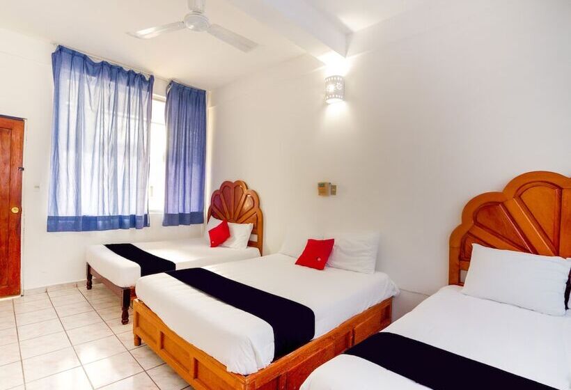 اتاق استاندارد چهار تخته, Adelita