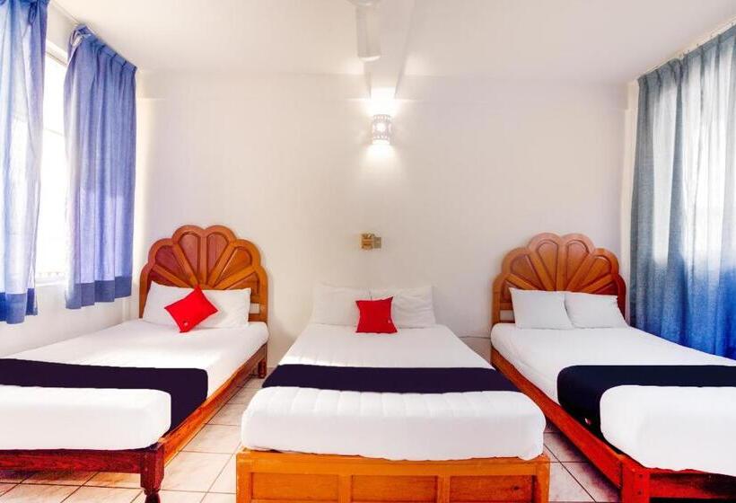 اتاق استاندارد چهار تخته, Adelita