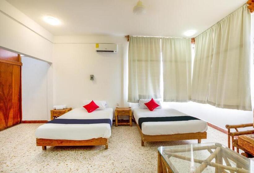 اتاق استاندارد, Adelita