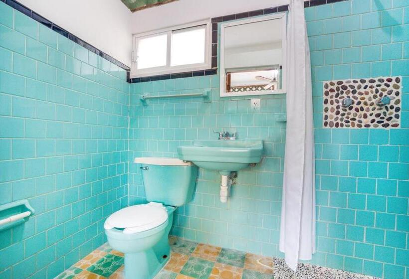 اتاق استاندارد سه نفره, Adelita