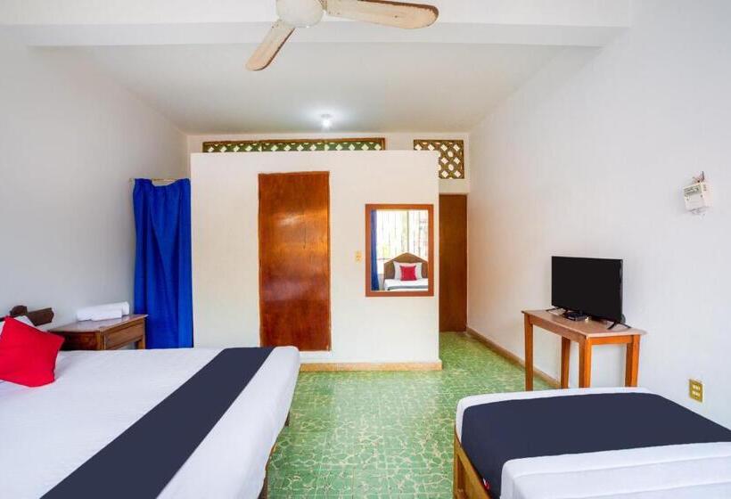 Quarto Triplo Estandar, Adelita