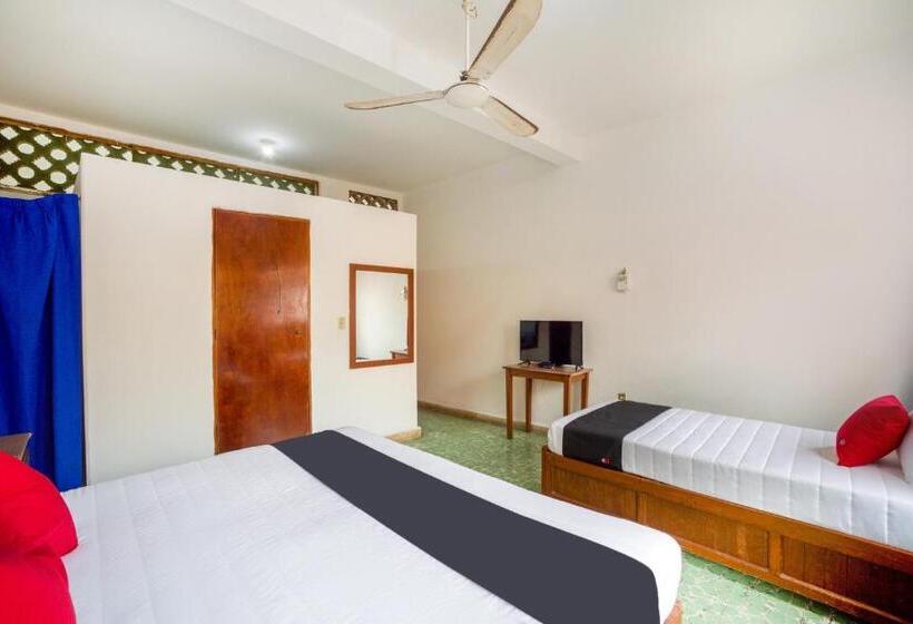 اتاق استاندارد سه نفره, Adelita