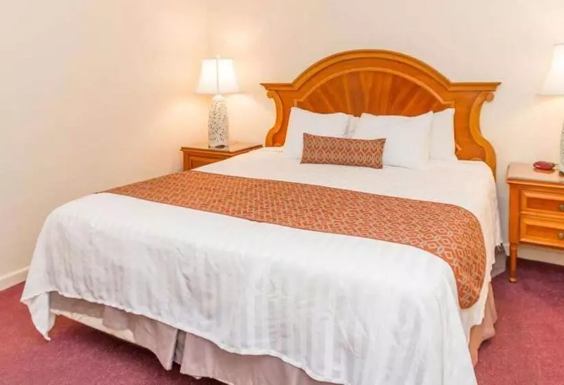 キングサイズベッドのデラックスルーム, Belleair Beach Resort Motel