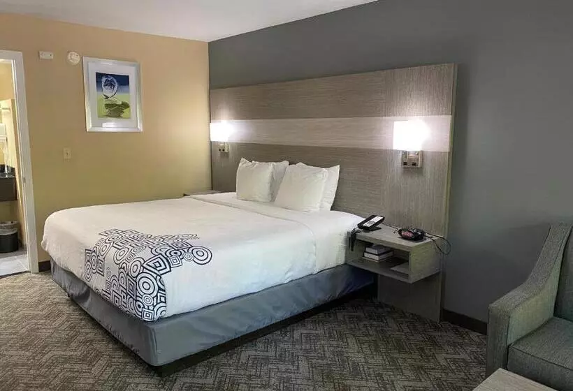 キングサイズベッドのスタンダードルーム, Best Western Apalach Inn
