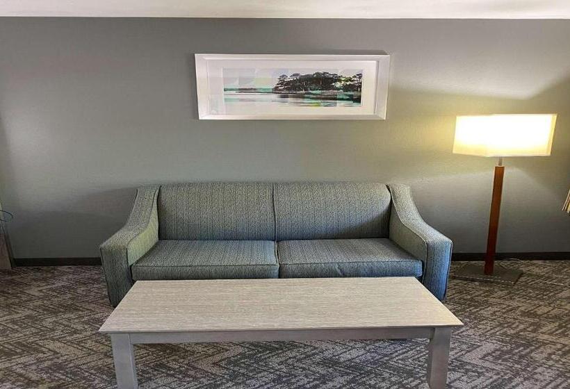 带大床的标准间, Best Western Apalach Inn