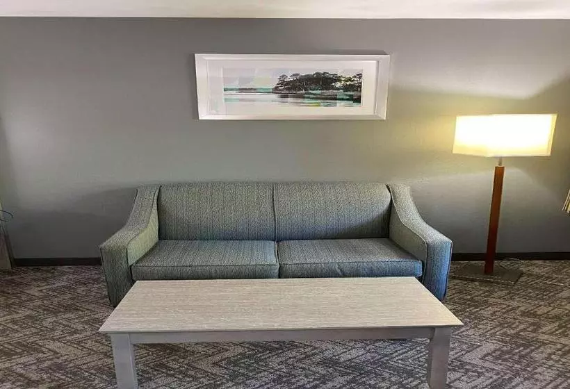 キングサイズベッドのスタンダードルーム, Best Western Apalach Inn