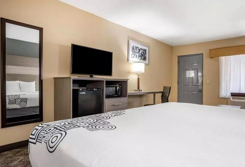 キングサイズベッドのスタンダードルーム, Best Western Apalach Inn