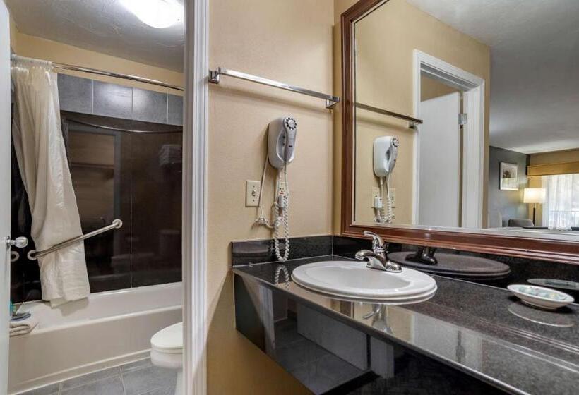 带大床的标准间, Best Western Apalach Inn