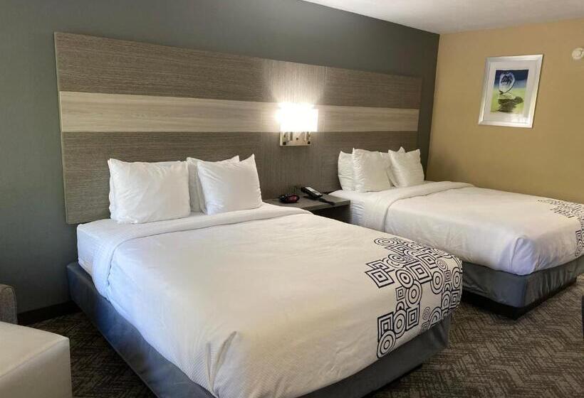标准间, Best Western Apalach Inn