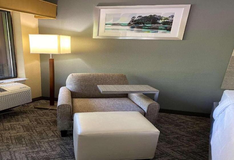 חדר סטנדרט, Best Western Apalach Inn