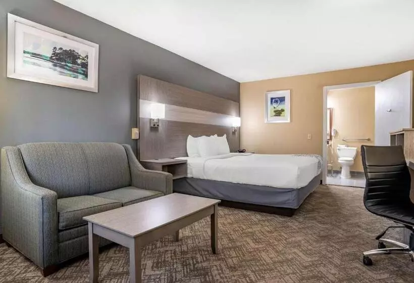 身障者適用キングサイズベッドルーム, Best Western Apalach Inn
